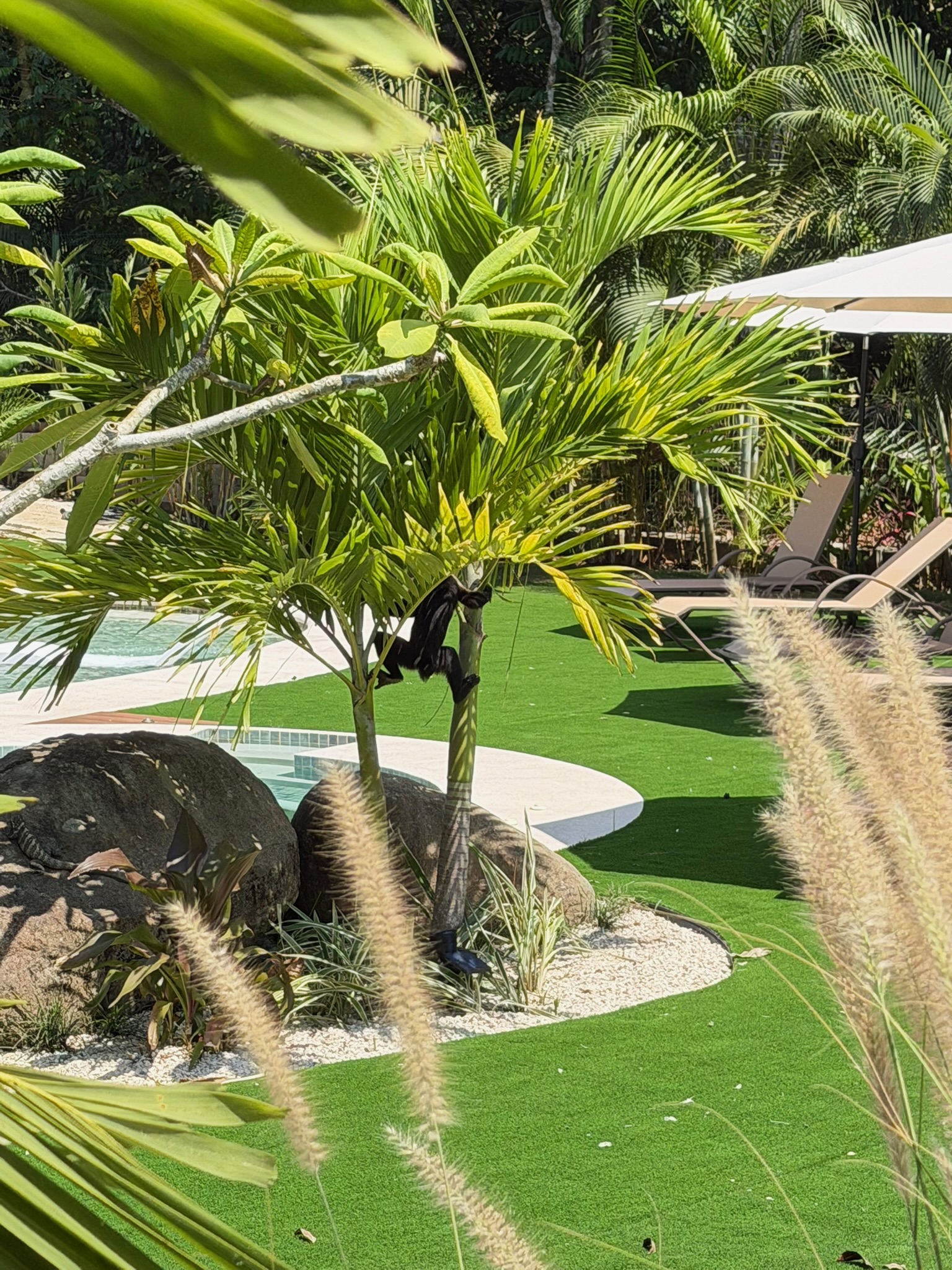 Hammocks and shaded outdoor lounging area at Miamar Costa Rica