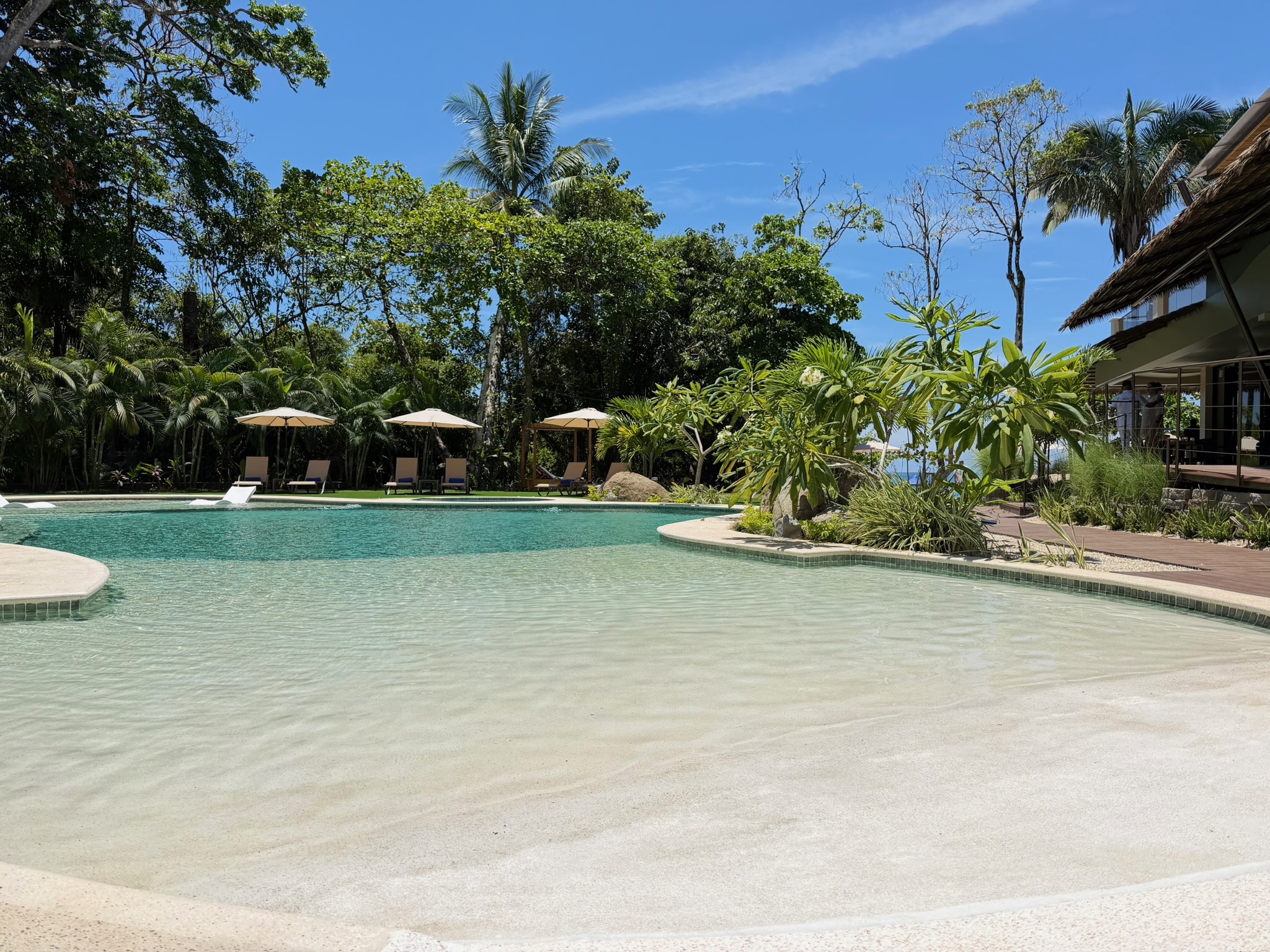 Modern resort pool with white loungers and tropical landscaping