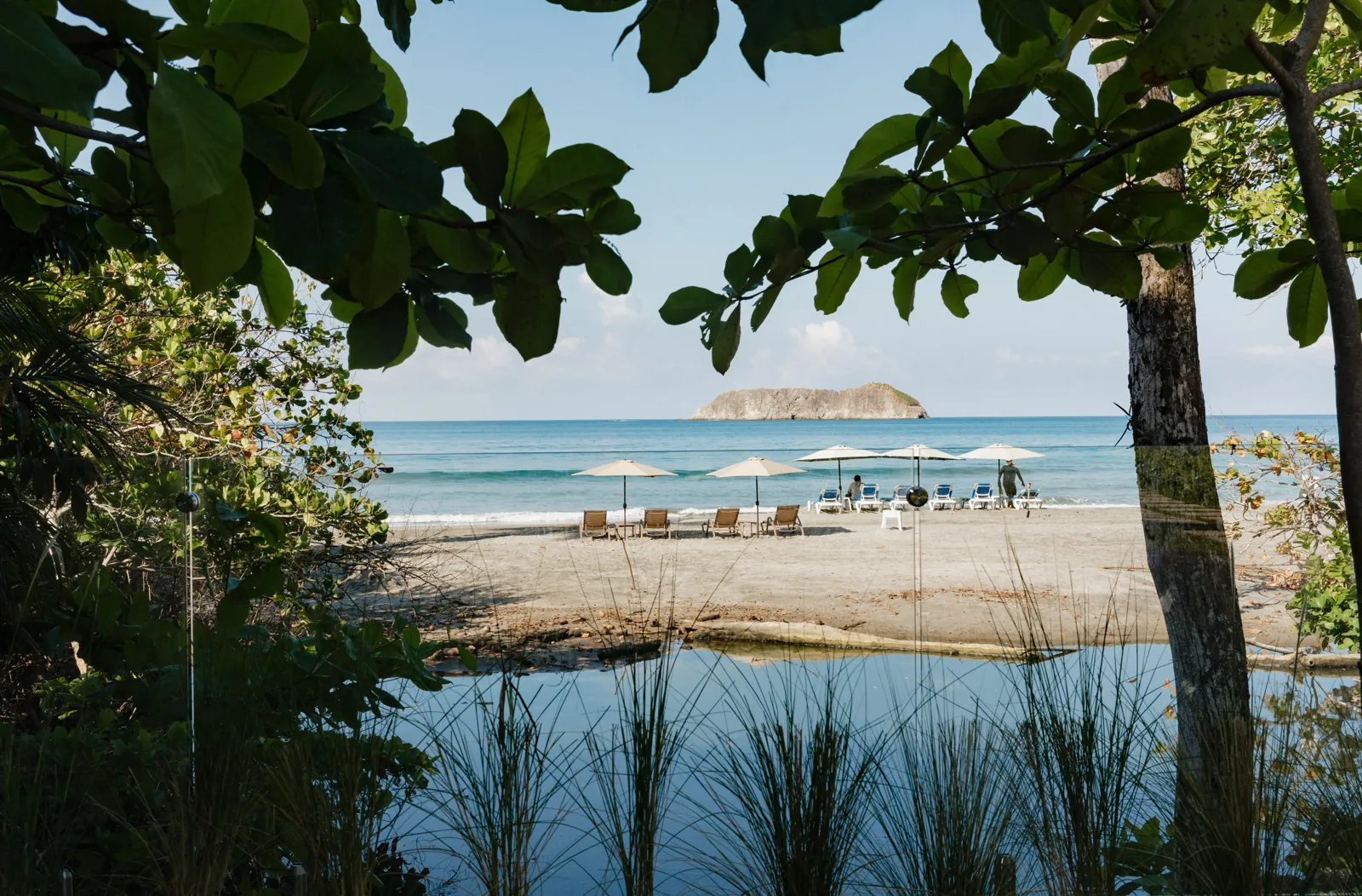 Loungers on Playa Espadilla framed by beach foliage, an island on the horizon